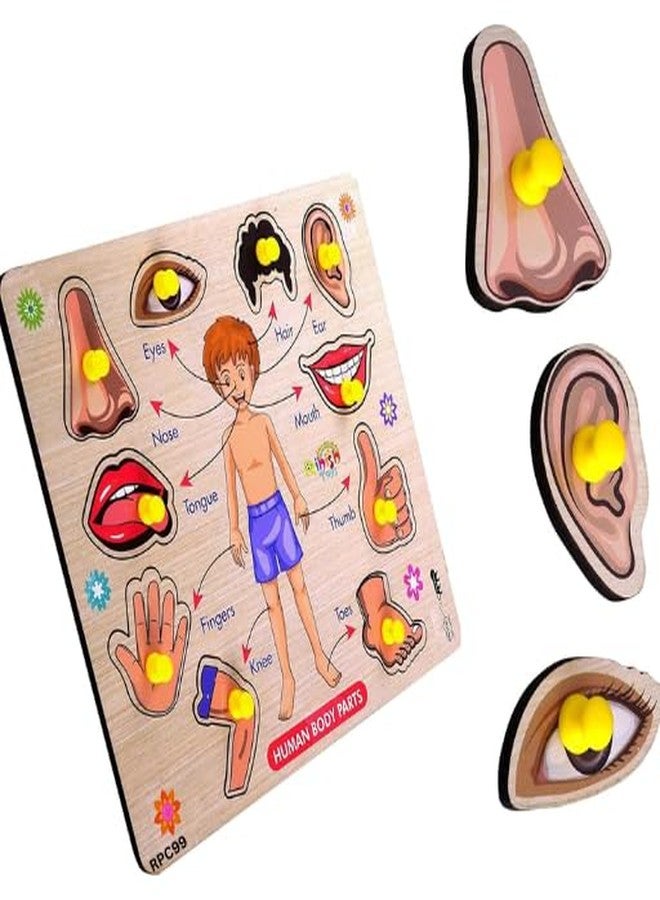 RPC99 Wooden Body Parts Learning Puzzle Board Game with Knobs, Educational Activity Chart for Kids - Image 1